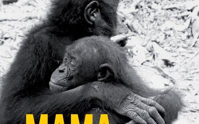 ”Mama. Ultima îmbrățișare” de Frans de Waal (recenzie)