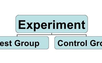 Design experimental