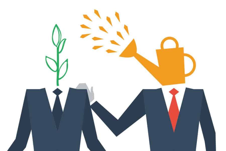 Socializare și mentoring: starea la zi a cercetării