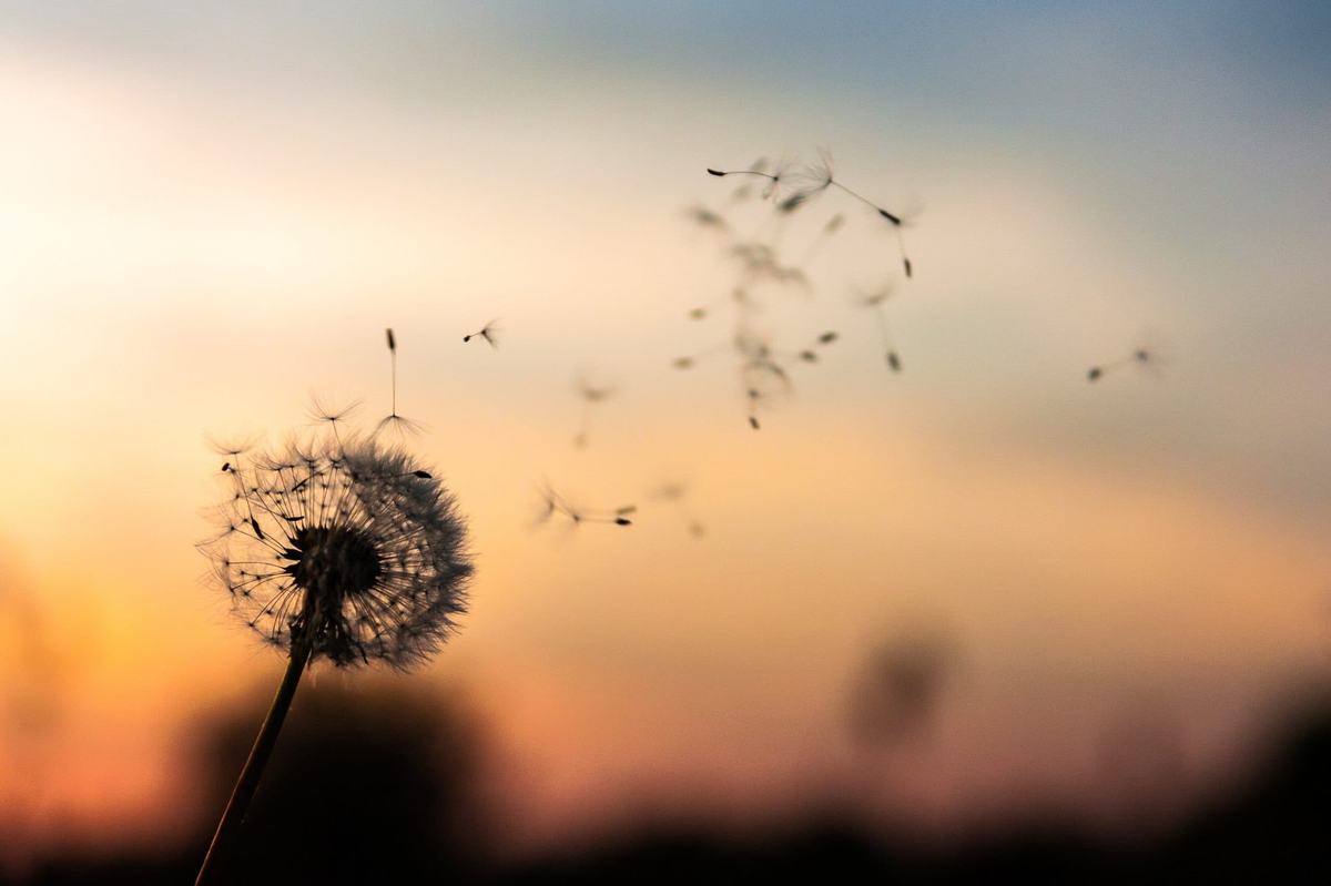 Mindfulness: meditația concentrată pe respirație