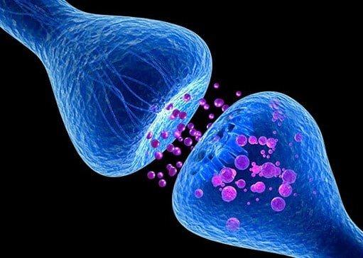 Sisteme de neurotransmițători
