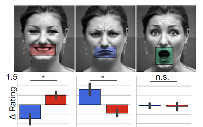 Diferențe interindividuale în procesare emoției faciale