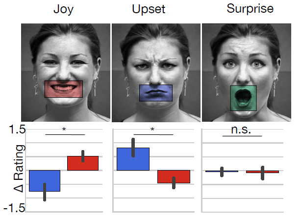 Diferențe interindividuale în procesare emoției faciale