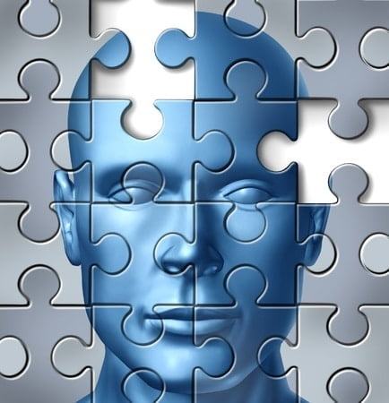 Selecția ca un puzzle