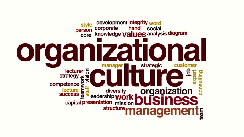 cultura organizațională
